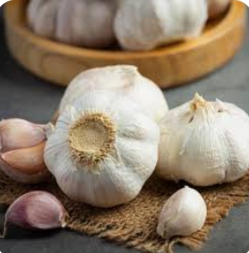 تصویر 1 از سیر خشک درجه یک + عمده قیمت عالی