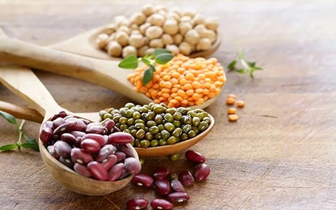 تصویر 2 از خرید + کنسرو مخلوط حبوبات ۴۰۰ گرمی