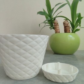 تصویر 1 از خرید گلدان پلاستیکی مقاوم به شرایط