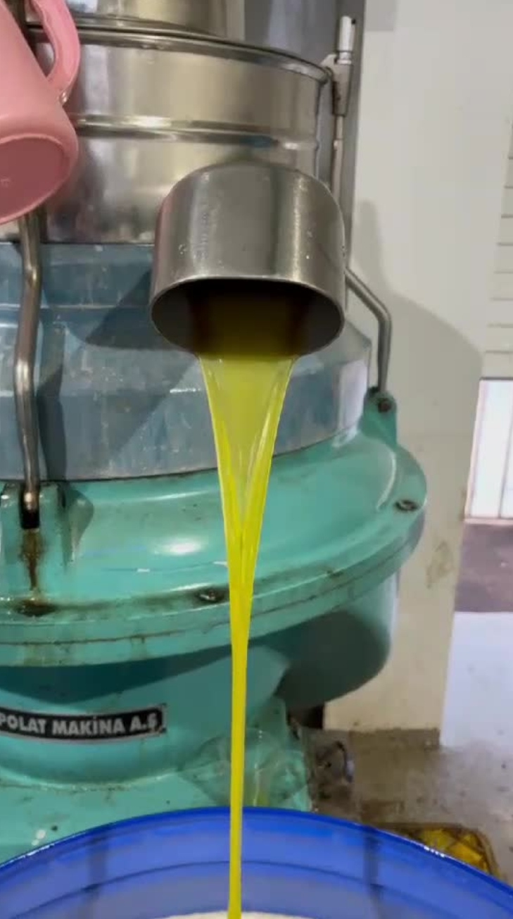 تصویر 2 از خرید مستقیم روغن زیتون بکر از تولید کننده بدون واسطه + قیمت