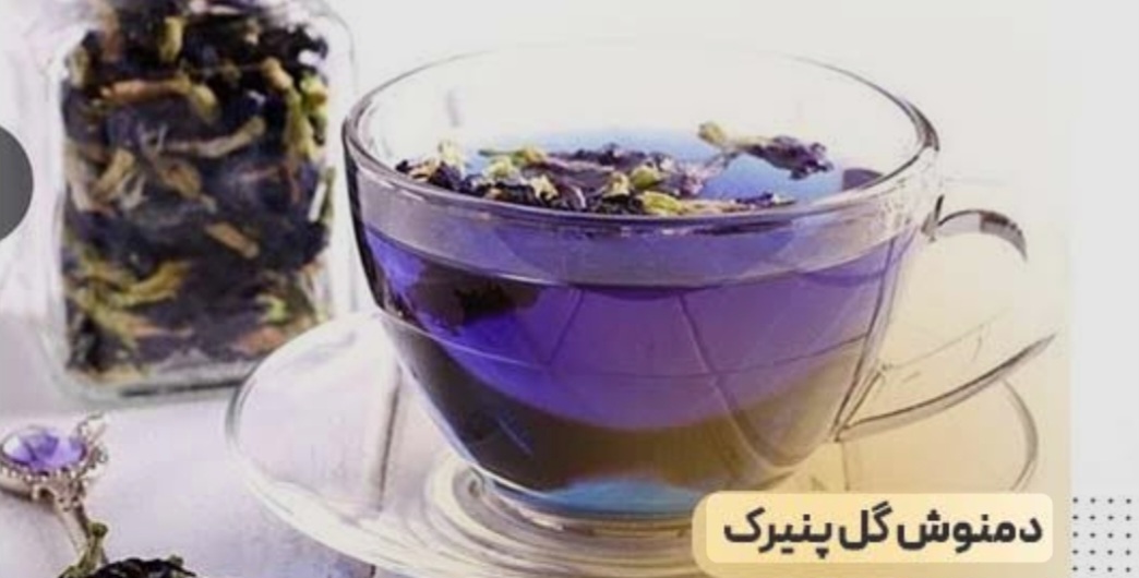 خرید گل پنیرک