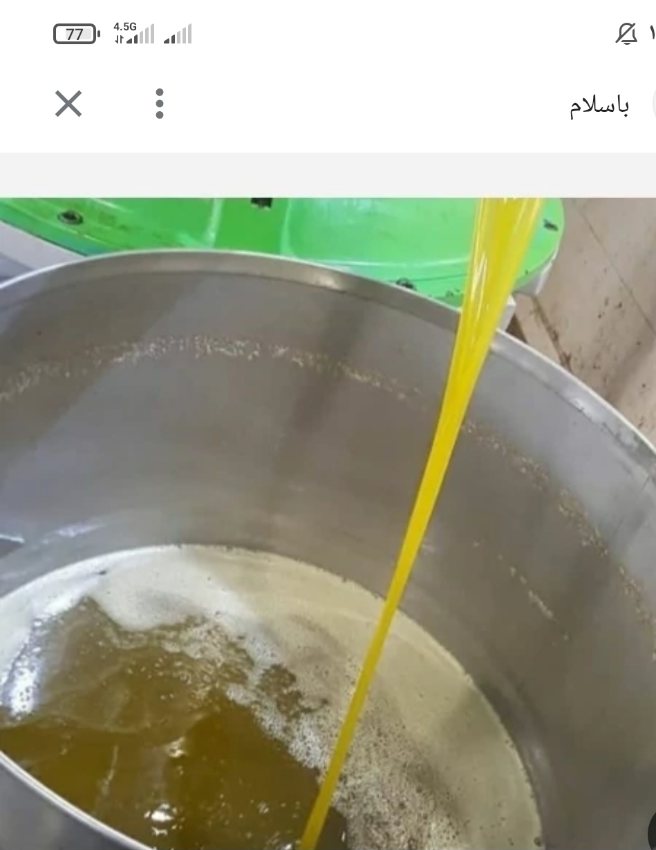 تصویر 2 از عرضه عمده روغن زیتون زرد شفاف + با قیمت رقابتی