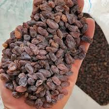 حلوای کشمش + ارزان و عمده
