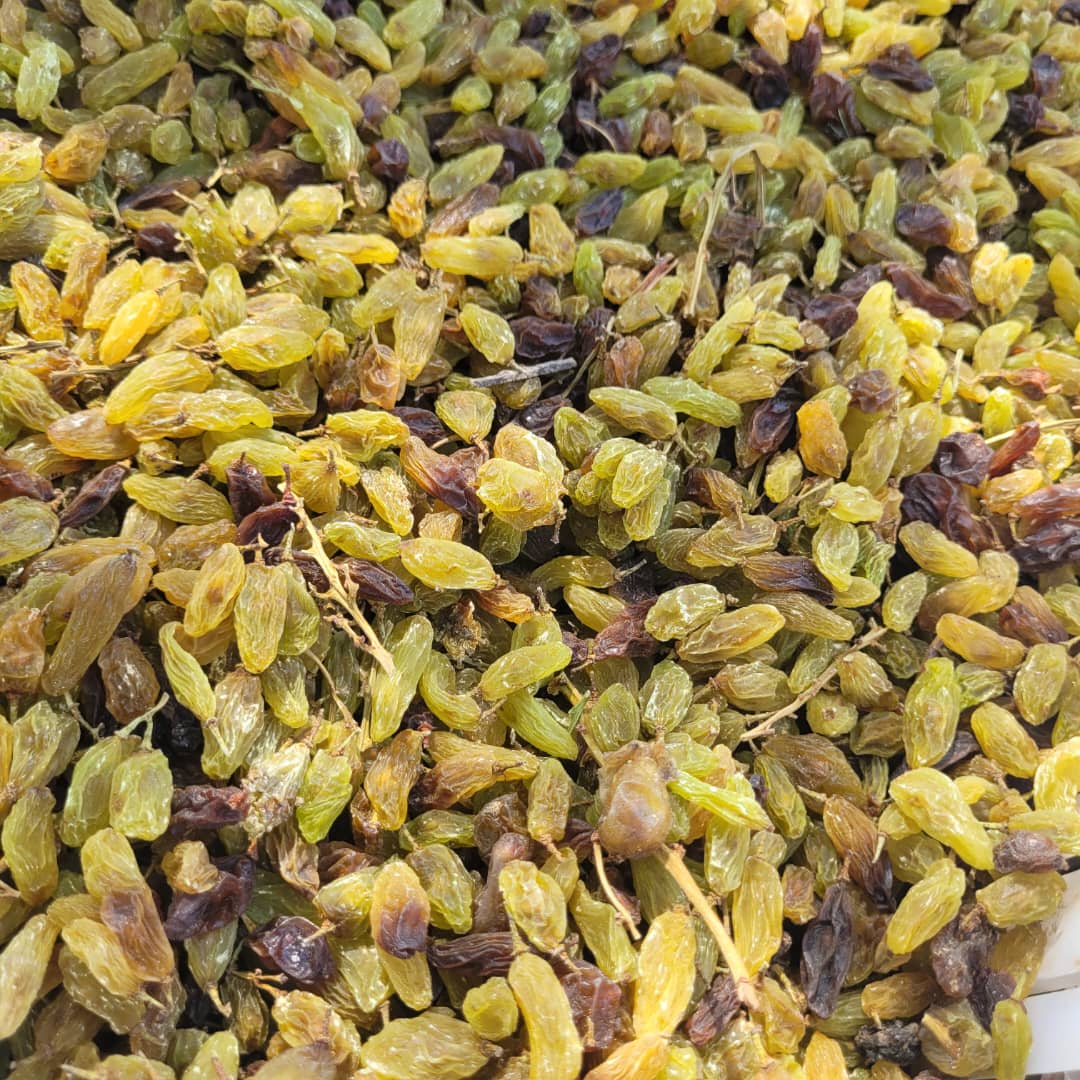 تصویر 1 از کشمش بوجاری ارزان