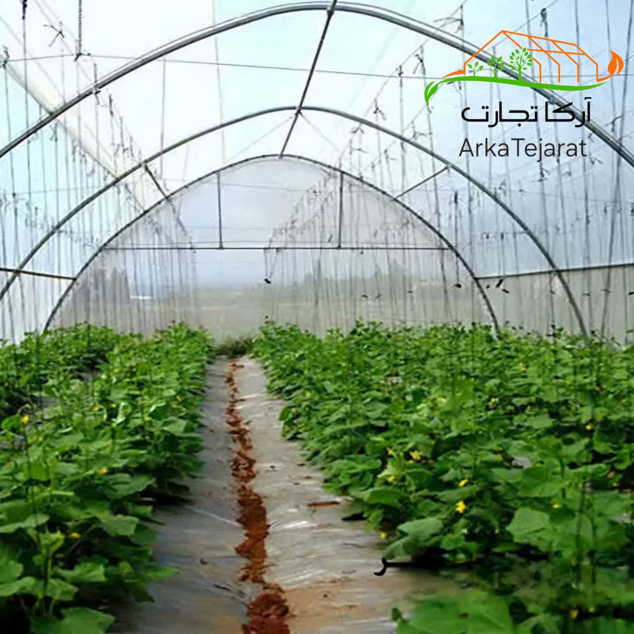تصویر 5 از خرید نایلون گلخانه شیمی یزد عرض ۸ بدون واسطه