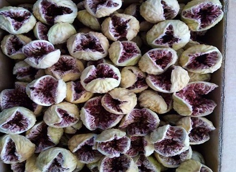 تصویر 3 از عرضه مستقیم انجیر پرک از باغات استهبان + خرید ویژه