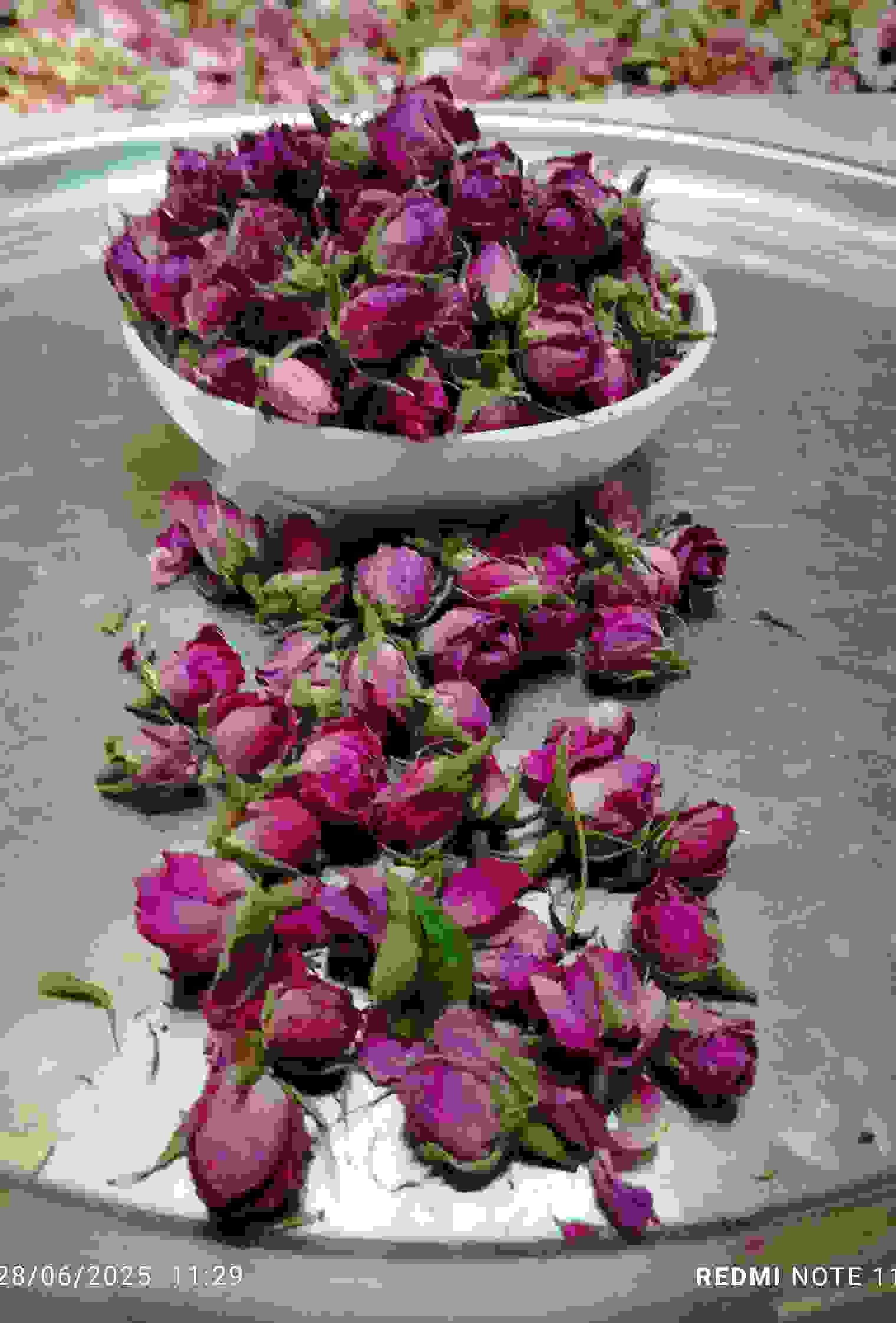 تصویر 1 از فروش غنچه گل محمدی