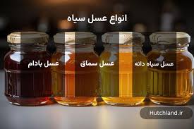 تصویر 4 از فروش ویژه انواع عسل گلستان کندو