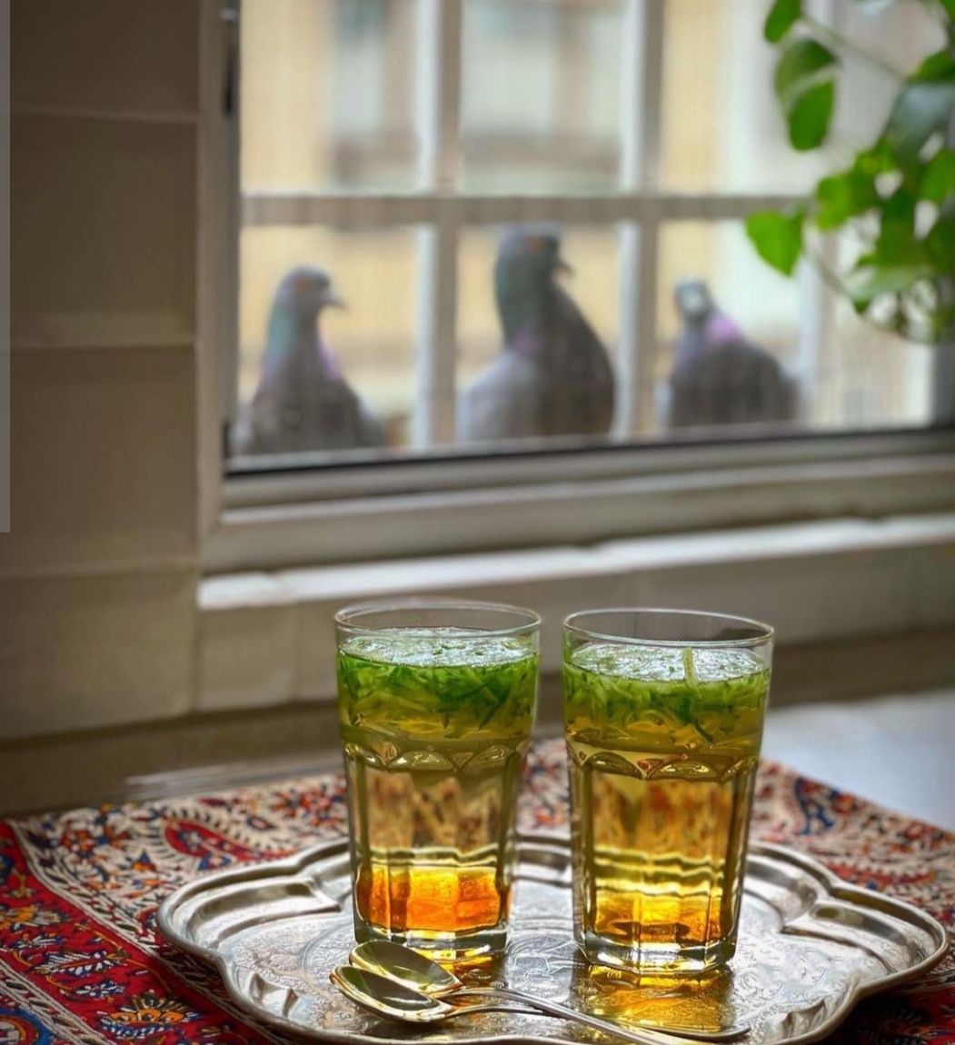 تصویر 4 از خرید و قیمت باور نکردنی شربت سکنجبین