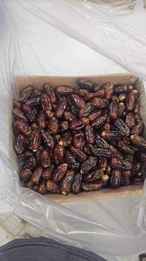 تصویر 2 از خرما استعمران جنوب + تناژ بالا