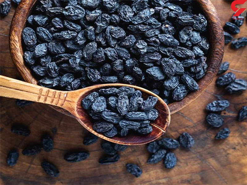 تصویر 1 از خرید مویز موغوب کوار + فروش فوق العاده