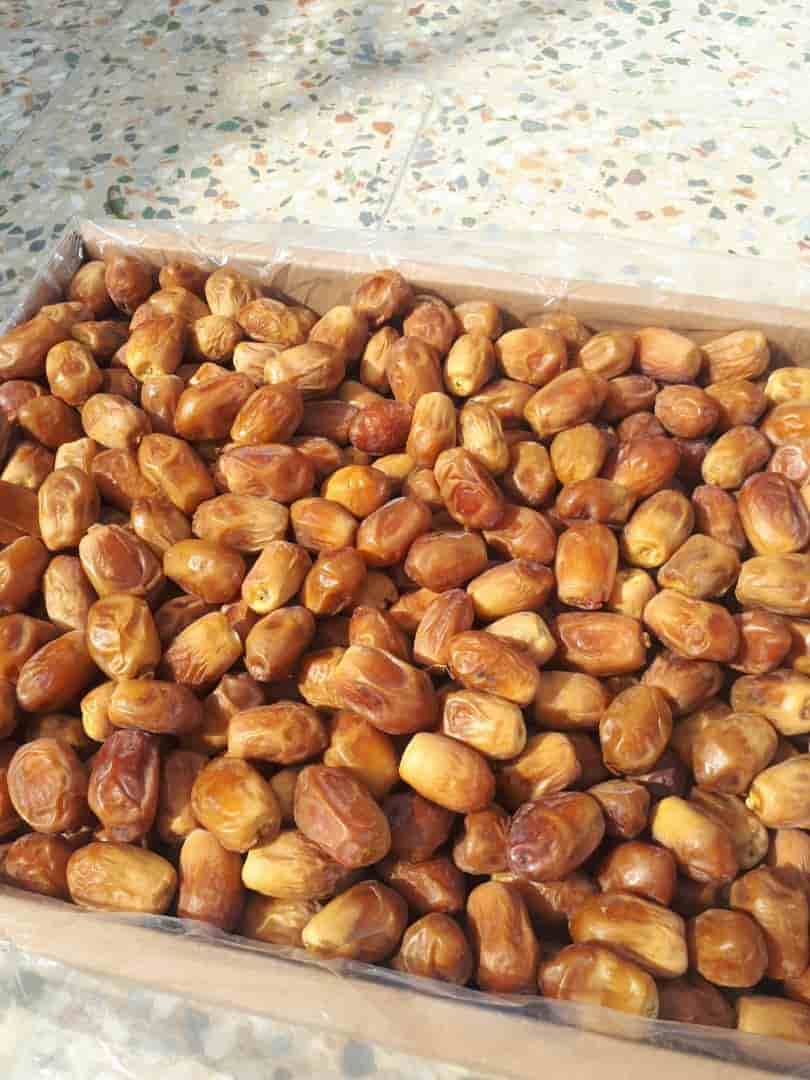 تصویر 2 از خرما زاهدی پشتکوه + قیمت عمده