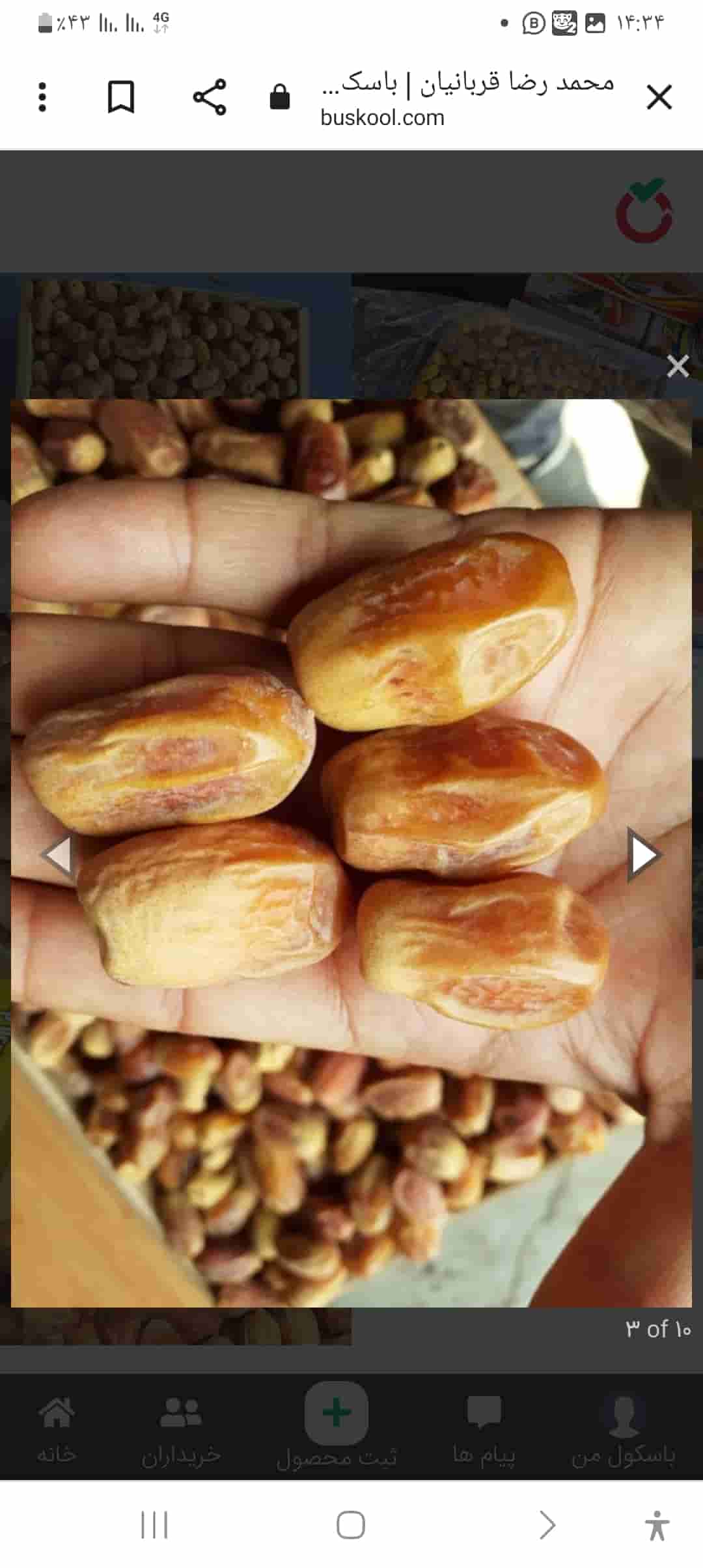 تصویر 2 از خرما زاهدی جنوب + قیمت رقابتی