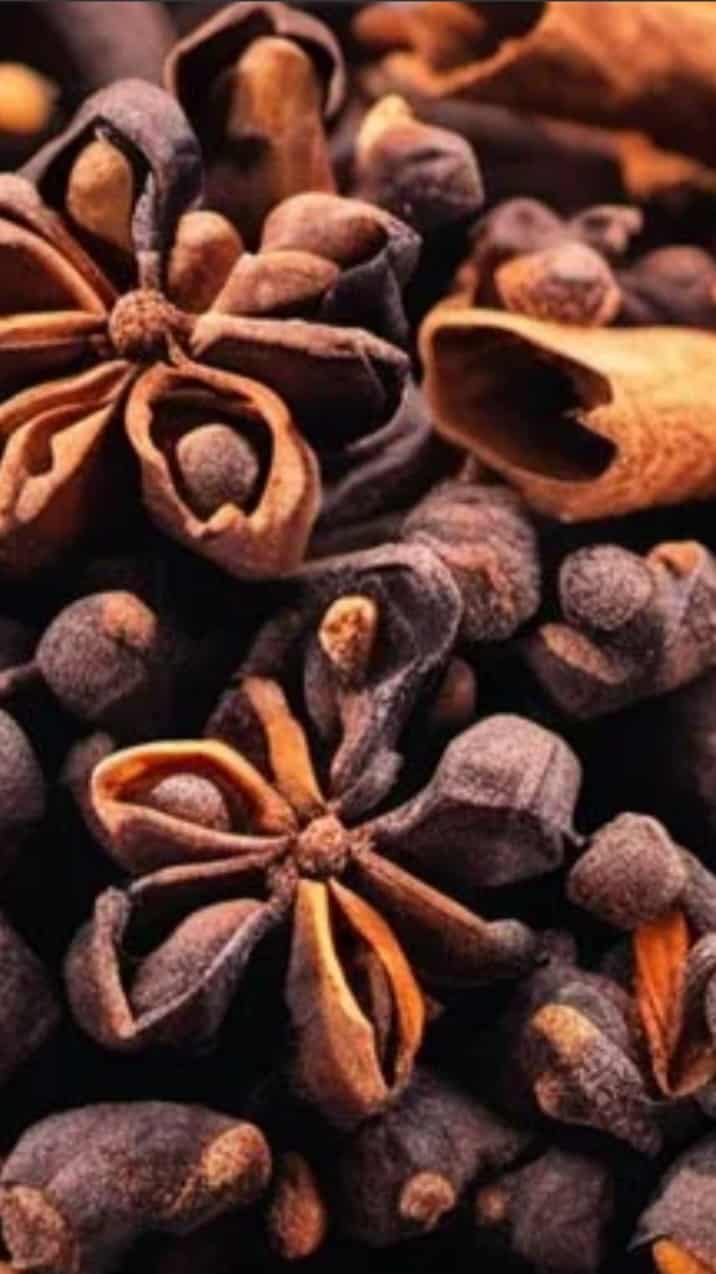 تصویر 2 از قیمت خرید استثنایی گل میخک اعلا