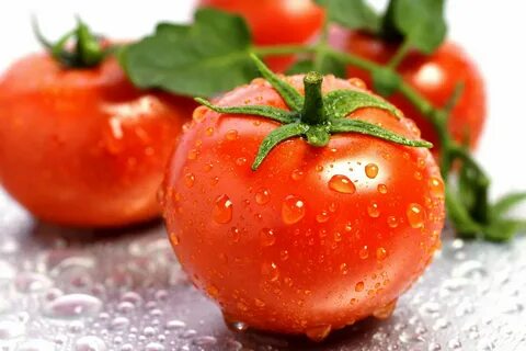 تصویر 5 از قیمت رب گوجه اسپتیک صادراتی