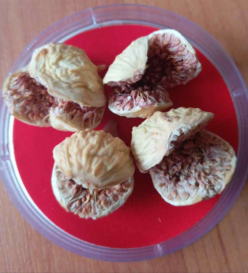 تصویر 1 از خرید انجیر خشک عمده + فروش ویژه