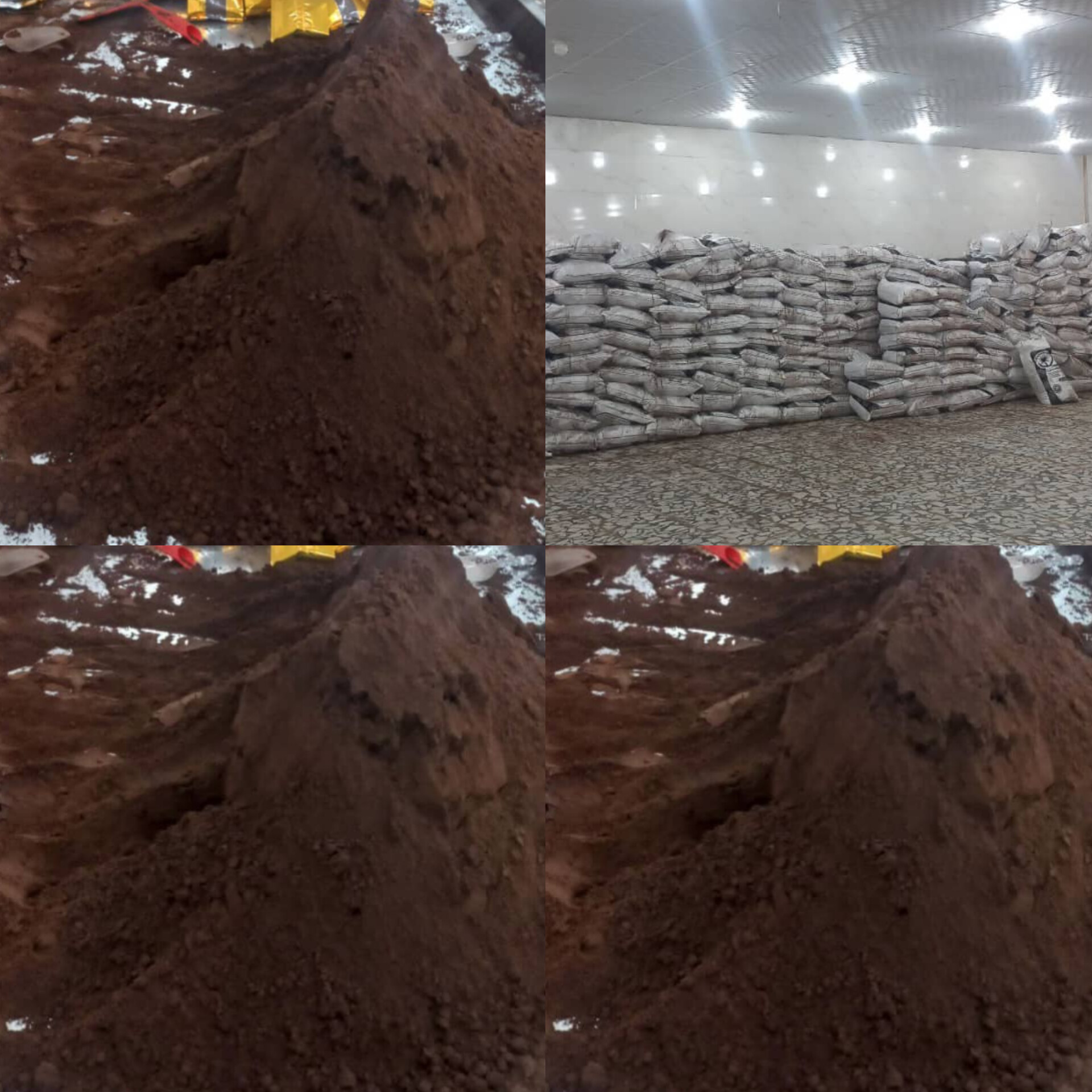 تصویر 1 از قیمت عمده رایگان قهوه هسته خرما