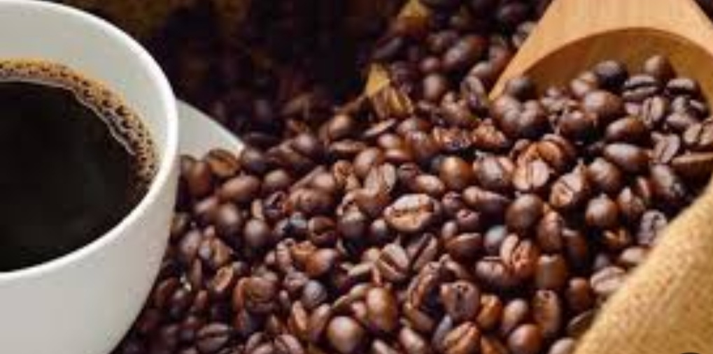 قیمت قهوه جاوا مایکل