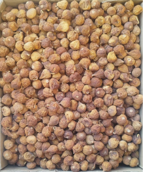 تصویر 1 از خرید و فروش عمده انجیر لاکی + فروش ویژه