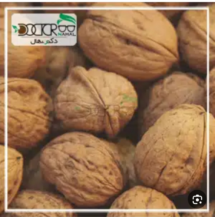 خرید فروش گردوی تویسر کان با تفاوت چشم گیر