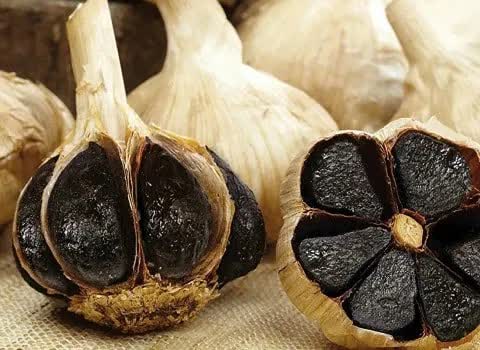 سیر سیاه اصل ژاپن تولید شده در شرایط پایدار با فرمولاسیون ویژه