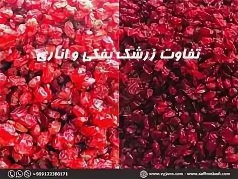 تصویر 3 از زرشک دانه اناری خراسان جنوبی + قیمت مناسب