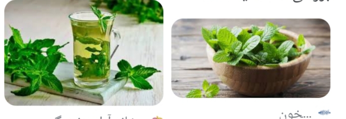 تصویر 2 از خرید و فروش عرق نعنای دو آتیشه با قیمت عالی