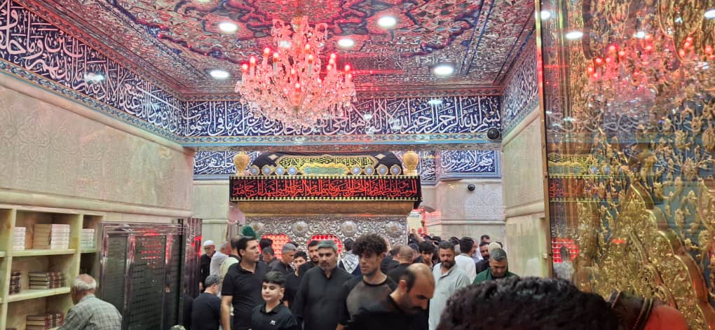 تصویر 2 از خرید و فروش انجیر خشک ریز با شرایط فوق‌ العاده