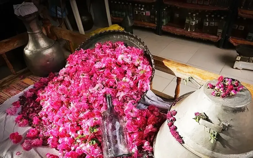 خرید عمده گلاب صادراتی کاشان