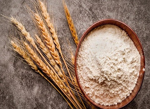 تصویر 1 از قیمت سویق برای کودک شش ماهه با کیفیت عالی + خرید عمده