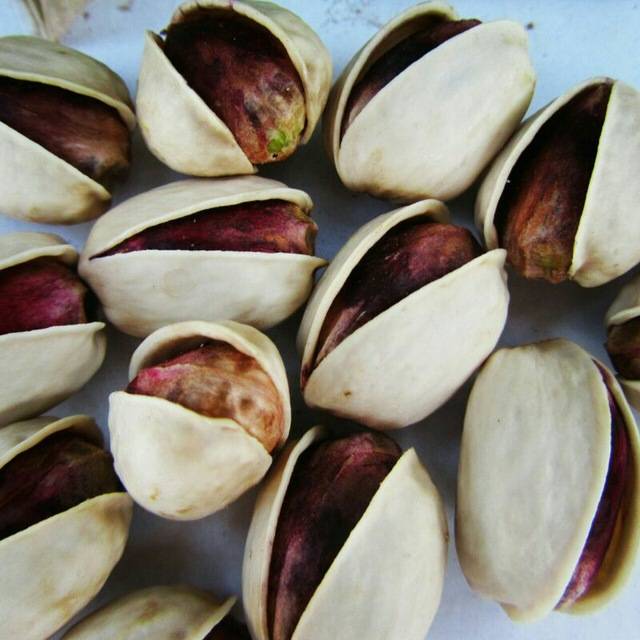تصویر 1 از خرید عمده پسته کله‌ قوچی درجه یک | خندان ، درشت و صادراتی