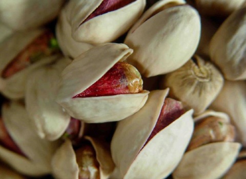 تصویر 1 از قیمت خرید پسته کله قوچی با فروش عمده