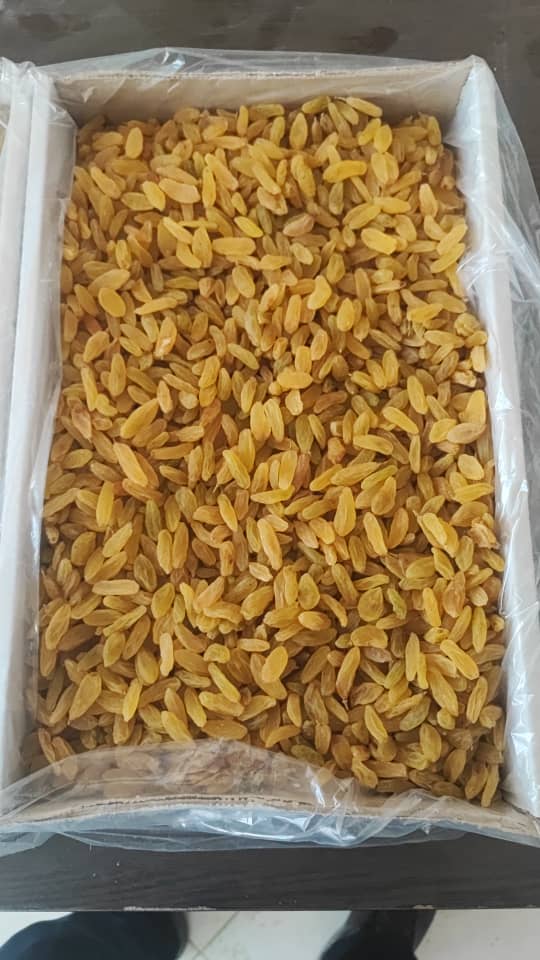 کشمش زرد طلایی خليل آباد + خرید