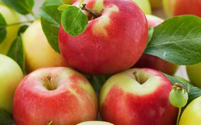 تصویر 2 از قیمت سیب گالا صادراتی دماوند با کیفیت سوپر + فروش عمده