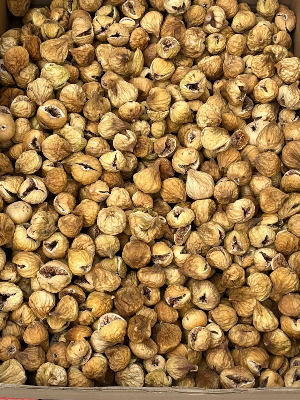 انجیر خشک + نرم و لطیف