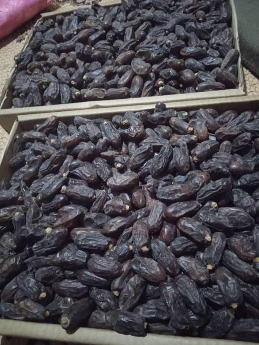 تصویر 2 از قیمت استثنایی خرما ربی + خرید مستقیم