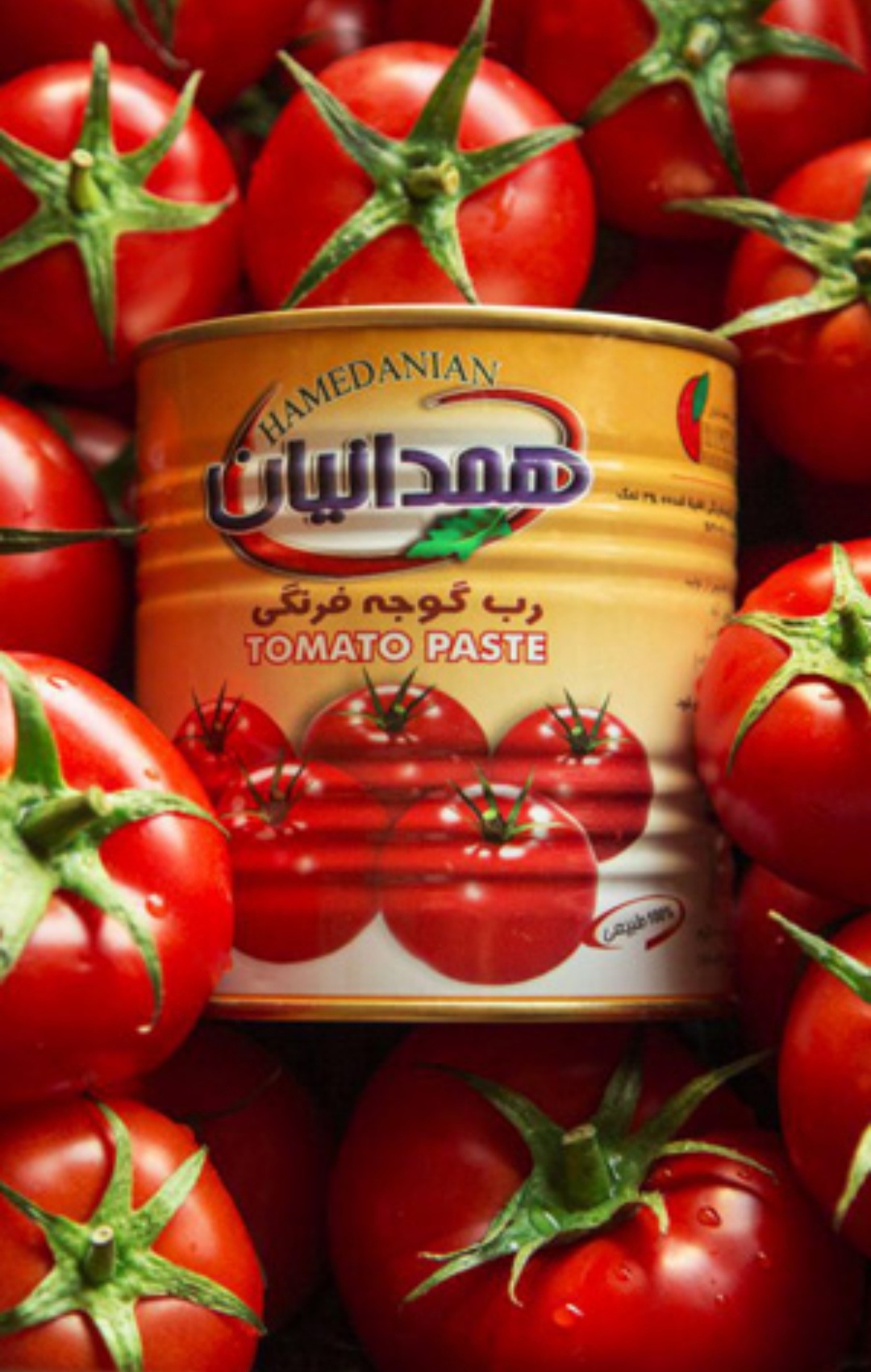 تصویر 1 از فروش استثنائی رب همدانیان