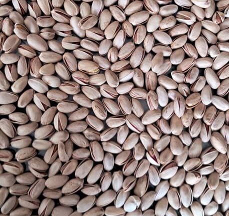 تصویر 1 از خرید پسته اکبری با کیفیت ممتاز و طعمی ماندگار