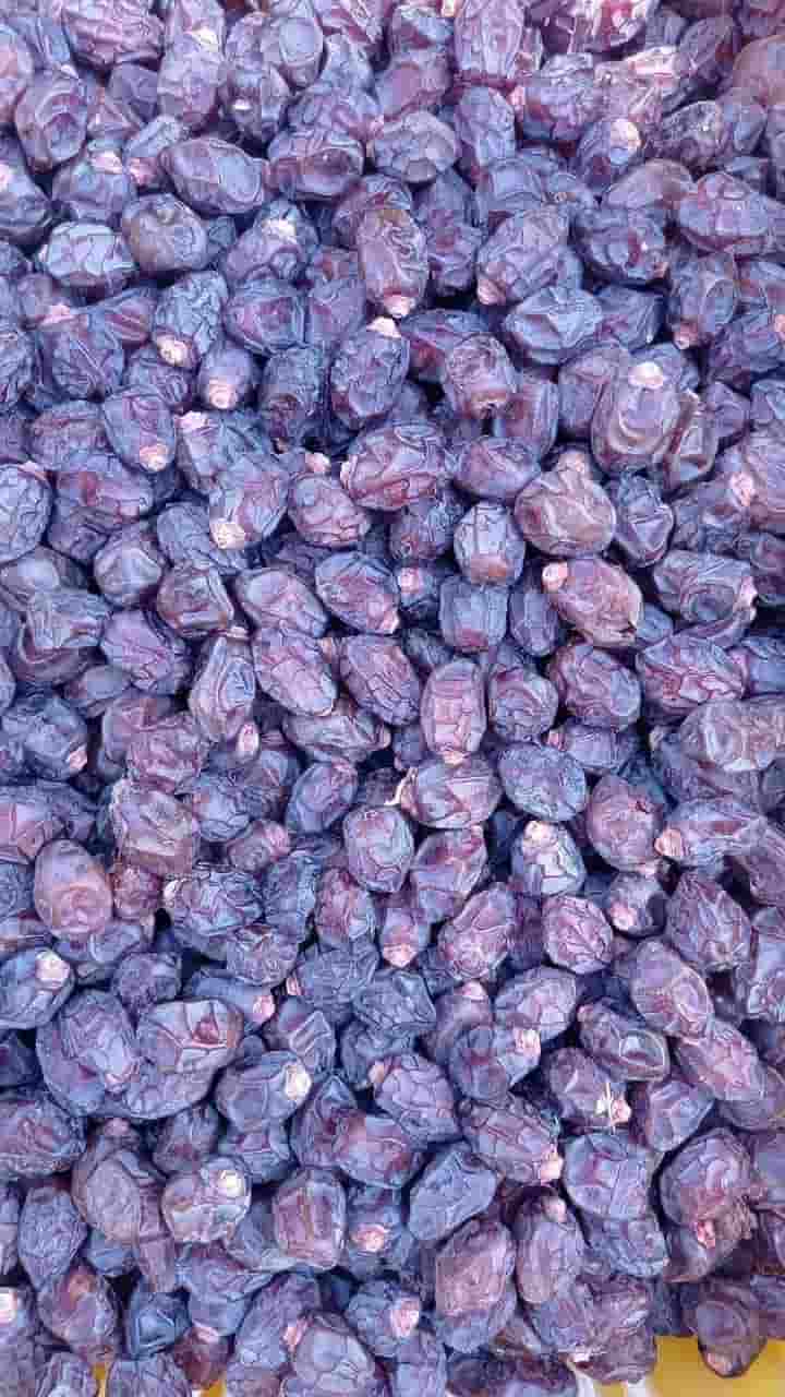 تصویر 3 از خرید و فروش عمده خرما خاصویی ریزه حاجی اباد