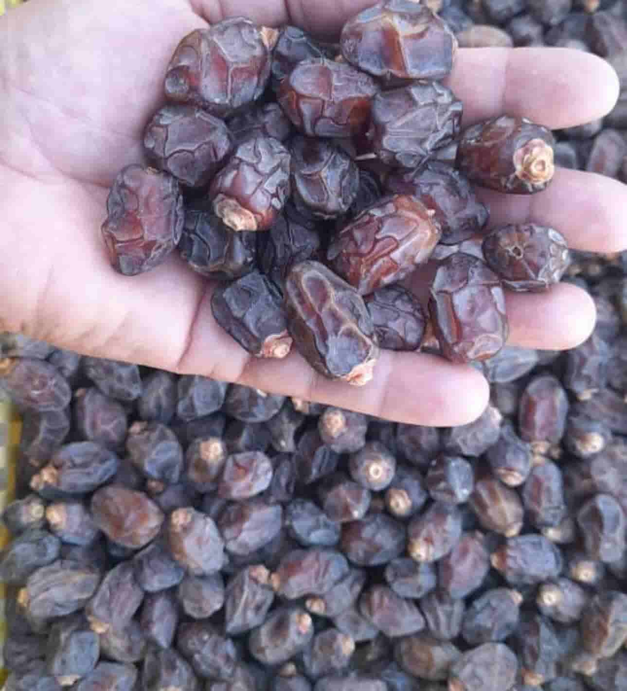 تصویر 2 از خرید و فروش عمده خرما خاصویی ریزه حاجی اباد