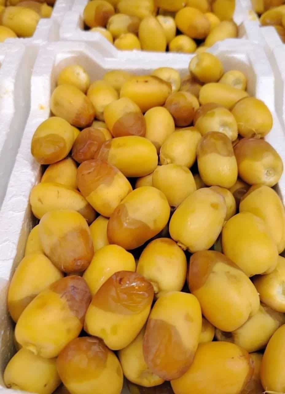 تصویر 3 از خرید و فروش رطب خرما برحی کارون