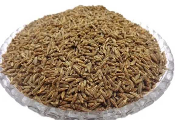 تصویر 3 از زیره کوهی خوش‌ طعم دارویی + خرید عمده