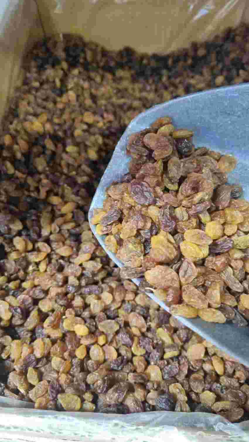 تصویر 2 از قیمت خرید کشمش پلویی + عمده به صرفه و ارزان