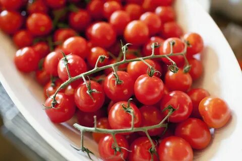 تصویر 1 از فروش گوجه‌ فرنگی گیلاسی گلخانه‌ای + خرید عمده ارزان