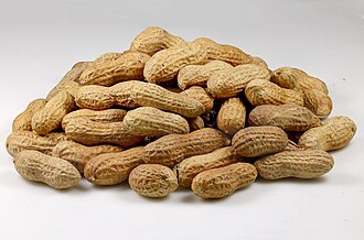 تصویر 1 از فروش عمده بادام زمینی بسته‌ بندی و فله