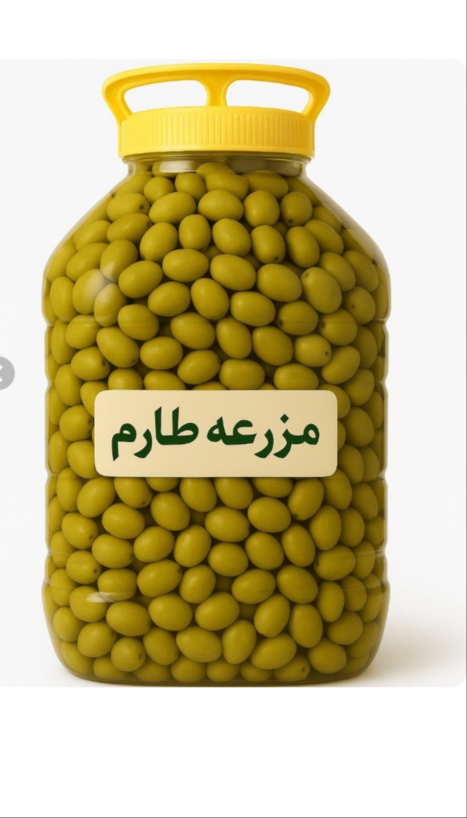 تصویر 1 از فروش باور نکردنی زیتون شور طارم زنجان