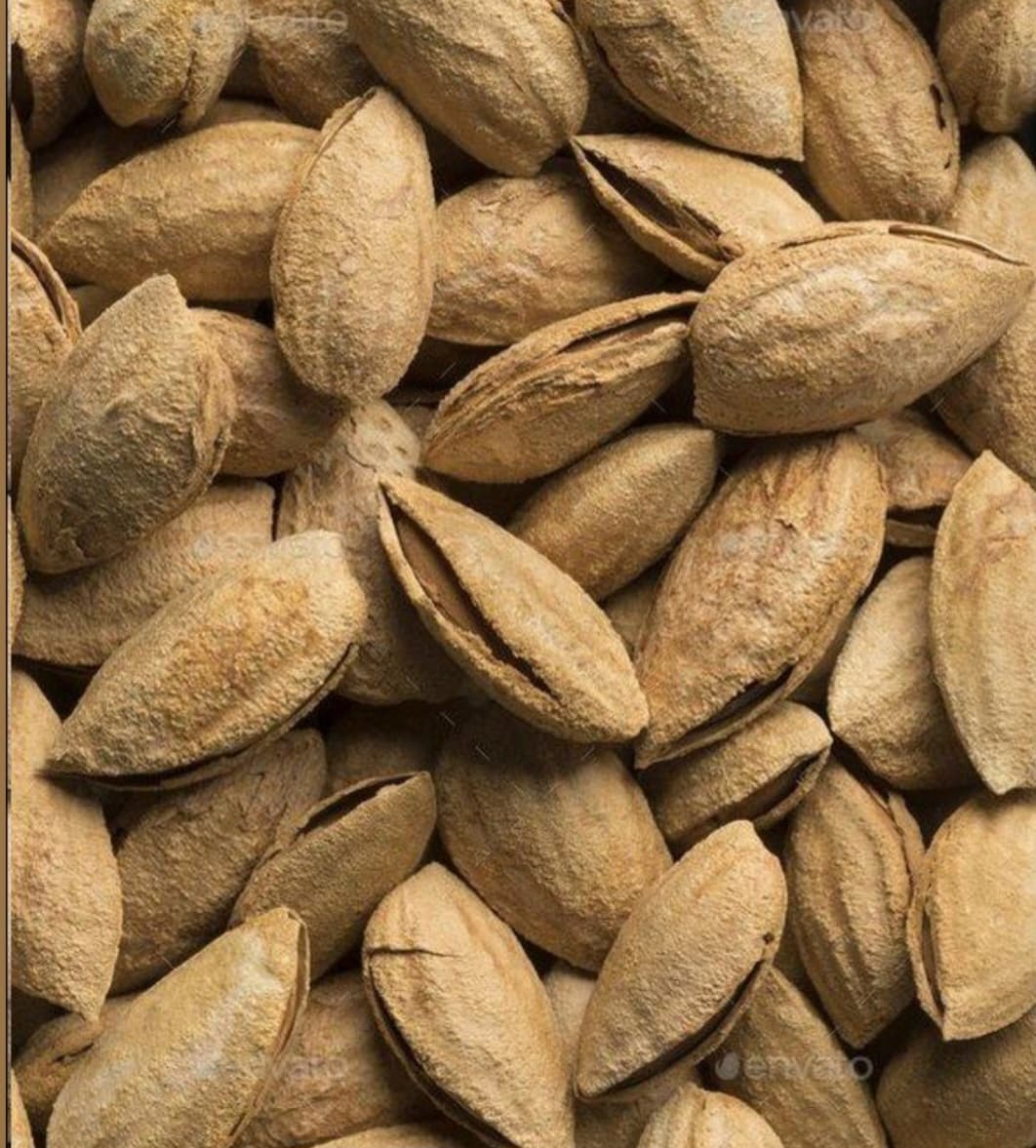 تصویر 2 از فروش مغز بادام ارگانیک ایرانی + قیمت خرید
