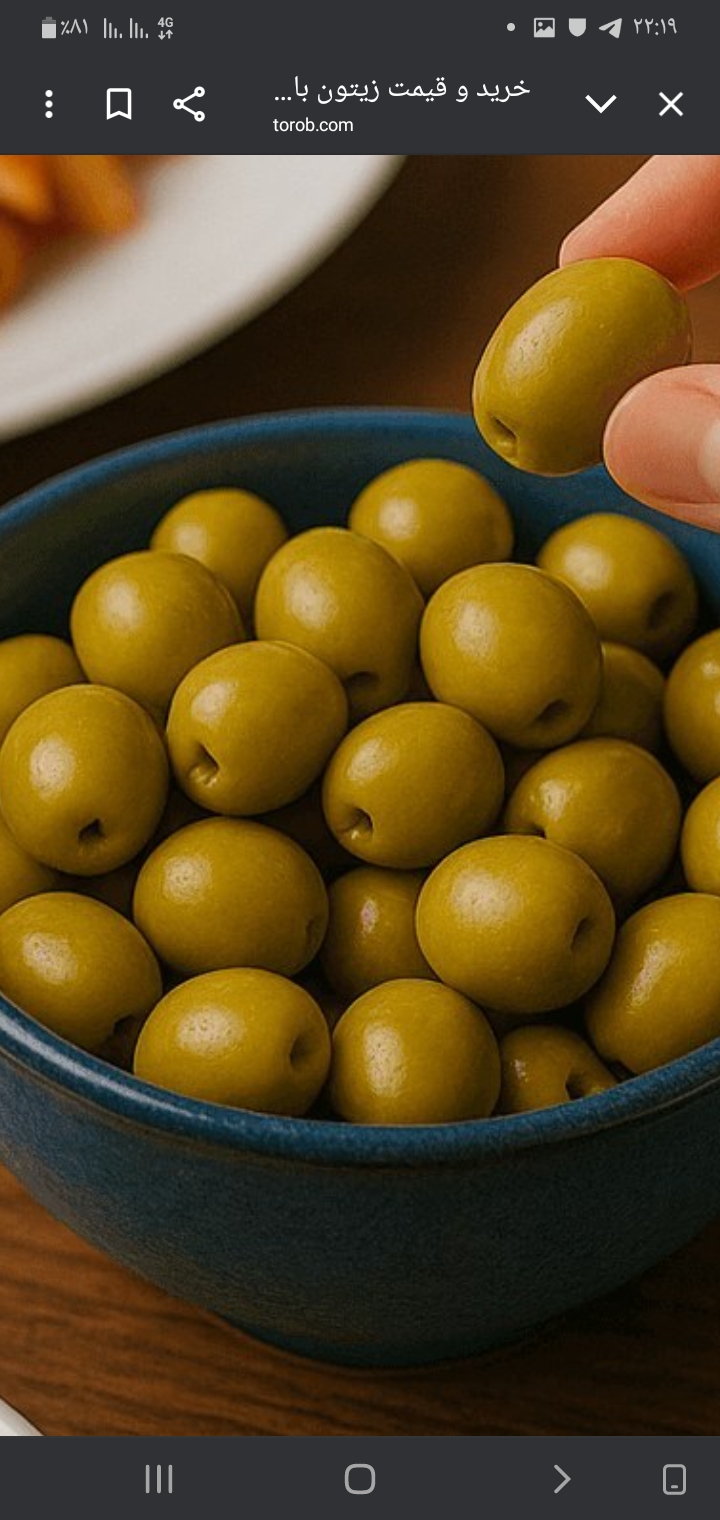 تصویر 3 از زیتون کنسروی درجه یک طارم زنجان + فروش عمده