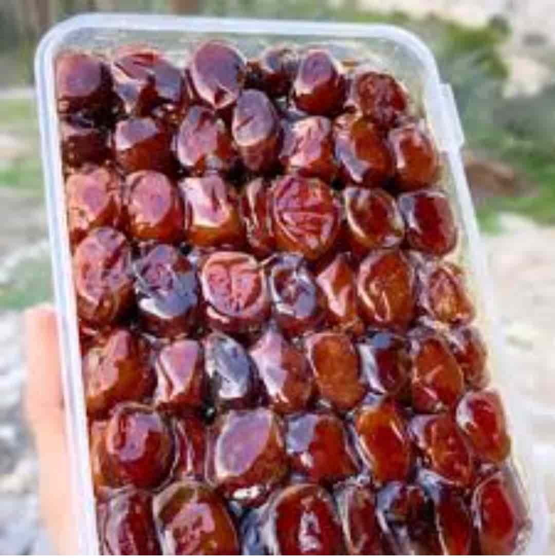 تصویر 1 از خرما برحی آبادان + قیمت عمده
