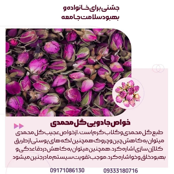 قیمت غنچه خشک دارابی در بازارهای صادراتی